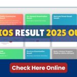 NIOS Result 2025