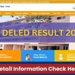 MP DELED Result 2025
